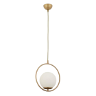 14780089_102_229949-removebg-preview