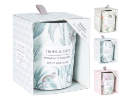 Αρωματικό Κερί 10 x 8 cm, σε 3 επιλογές χρώματος, Tropical Green, Light Green, Blue Peppermint