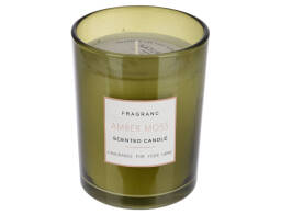 THE NETHERLANDS Αρωματικό κερί σε γυάλινο δοχείο 10x12.5cm, Amber Moss