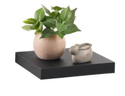 Ράφι Τοίχου Homea με διαστάσεις 25x22.8x3.4cm - Black