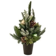 ΠΡΑΣΙΝΟ ΔΕΝΤΡΟ ΜΕ ΚΟΥΚΟΥΝΑΡΙΑ ΚΑΙ ΜΠΑΛΕΣ ΣΕ ΠΛΑΣΤΙΚΗ ΓΛΑΣΤΡΑ 43ΕΚ