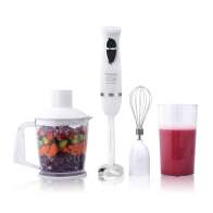 Lexical Ραβδομπλέντερ 600W LHB-1604WH