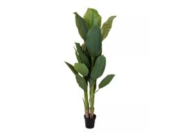 Διακοσμητικό Πλαστικό Φυτό Ύψους 165cm με Γλάστρα σε Μαύρο Χρώμα, 318000690