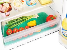 Wenko Αντιμουχλική επιφάνεια για συρτάρια ψυγείου 275101121 46x29.5cm