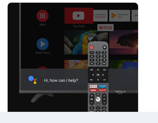 Φωνητικός Έλεγχος