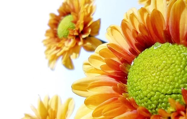 Ελα λίγο πιο κοντά