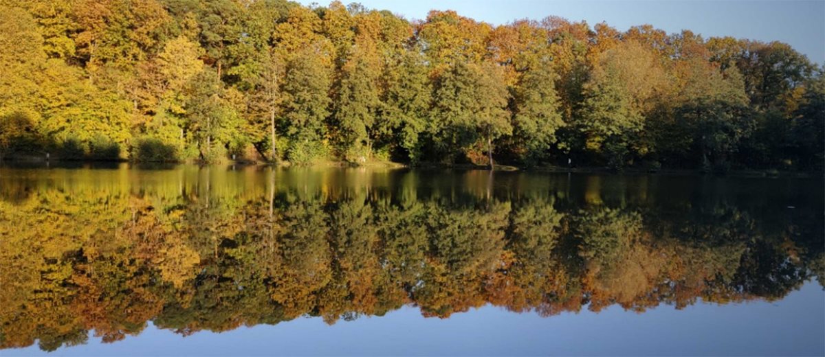 Πιο ευκρινής άποψη