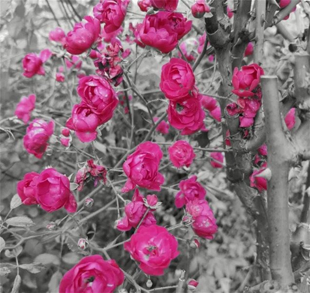 Κάνε τα χρώματά σου να ζωντανέψουν