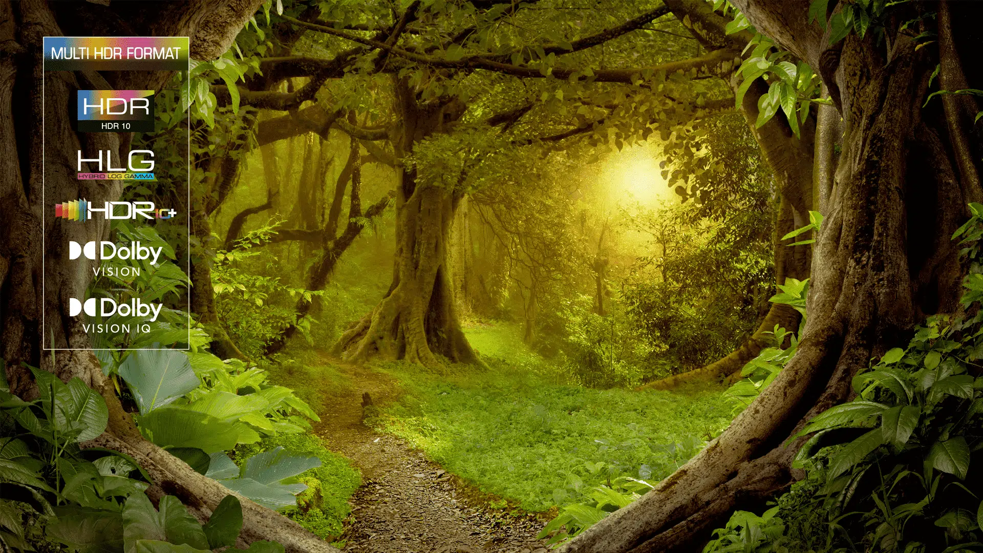 Εκπληκτικό HDR ανεξάρτητα από την πηγή