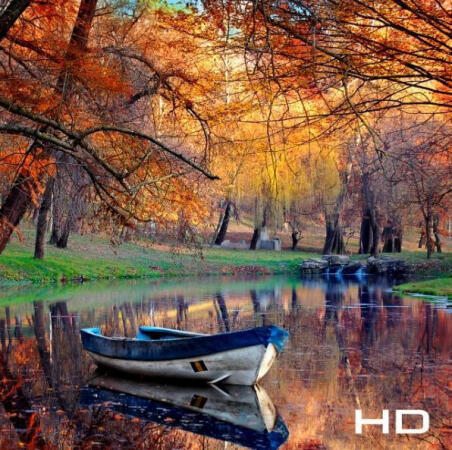 Απόδοση εικόνας HD