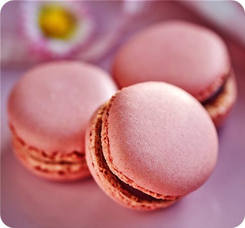 Η Macro Cam θα φέρει όλες τις μικροσκοπικές λεπτομέρειες στο προσκήνιο