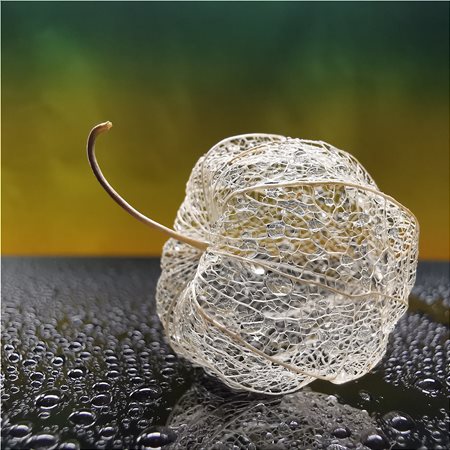 Εντυπωσιακός μακρόκοσμος