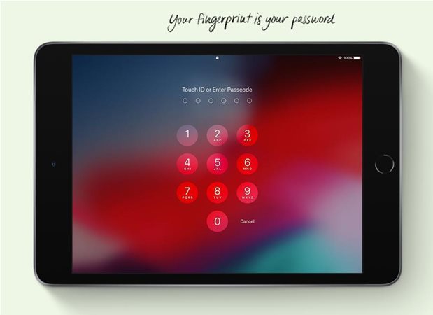 Απόρρητο και Ασφάλεια