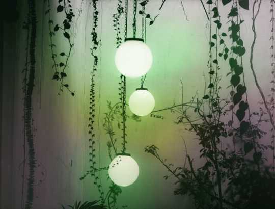 Φιλικό προς το περιβάλλον