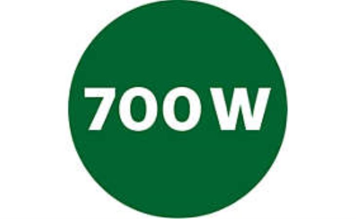 Ισχυρό μοτέρ ισχύος 700W