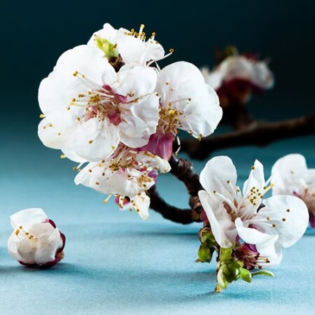 Σχεδιασμός