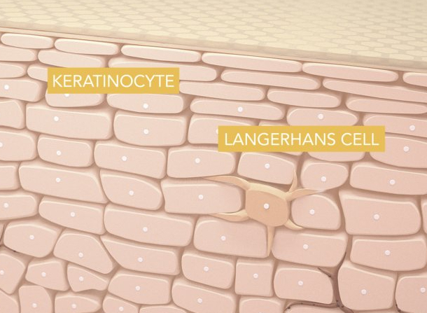 Τι συμβαίνει στο δέρμα σου