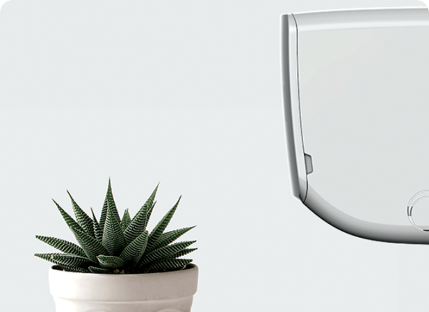 Αντιμυκητιακή Λειτουργία