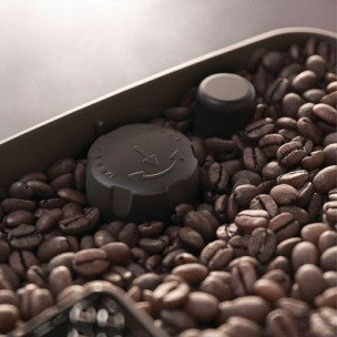 Προσαρμογή μύλου 12 βημάτων