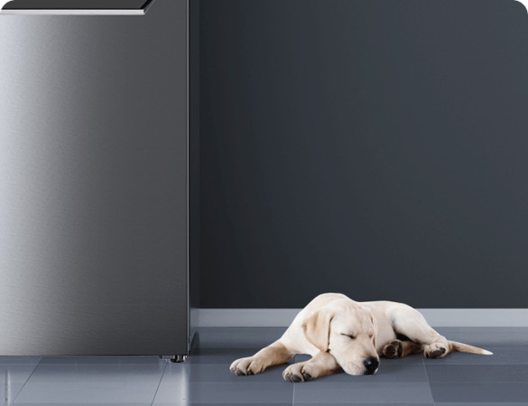 Χαμηλός λειτουργικός ήχος