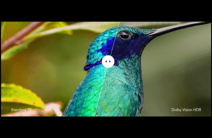 Ευρεία γκάμα χρωμάτων