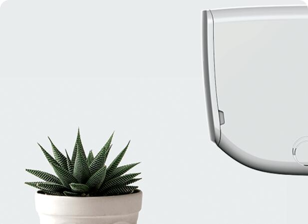 Anti-Fungus – Καθαρός αέρας, ξέγνοιαστη ατμόσφαιρα