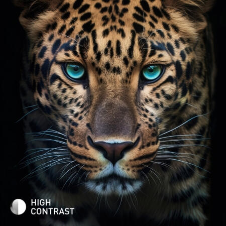Εικόνες υψηλής αντίθεσης