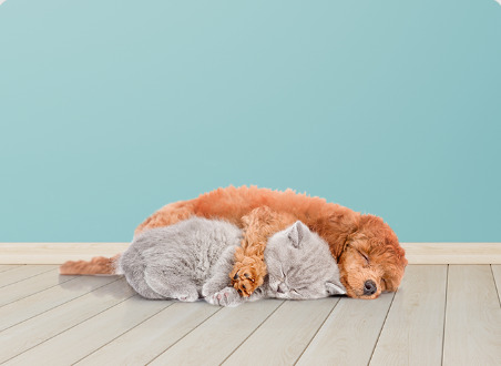 Αθόρυβη λειτουργία