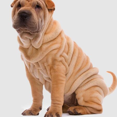 Ευκολότερο σιδέρωμα