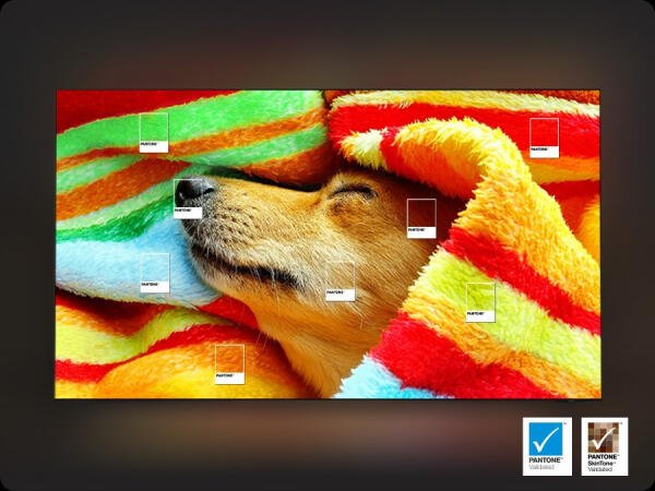 Αυτοφωτιζόμενα Pixels, OLED HDR & Πιστοποίηση PANTONE