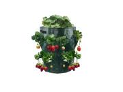 Σακούλα Φύτευσης Φράουλας και άλλων Οπωροφόρων Θάμνων, 17x17x33 cm