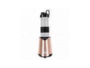 Berlinger Haus Μπλέντερ Blender για Smoothies 300W BH-9602 Rose Gold