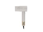 Fashion TV by Berlinger Haus Πιστολάκι Μαλλιών με BLDC Μοτέρ 1600W, Creme Gold FTV-0151