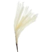 ArteLibre Κλαδί Φτερό 140cm Κρεμ