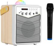 MusicMate Φορητό Ηχείο BT Καραόκε 50W Set MM-SK100 Apex Flex