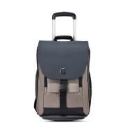 Delsey Σακίδιο πλάτης trolley 2 ρόδες για Laptop 15.6' Securflap Brown