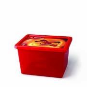 40921733 LEGO Ninjago Storage Box (Small)