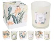 Αρωματικό Κερί CC5073580 Σε γυάλινο δοχείο 9.5 x 10.5 cm, σε 3 επιλογές σχεδίου και αρώματος, white/cocomint, khaki/frangipani, green/pineapple.