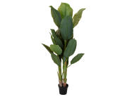 Tεχνητό φυτό σε γλάστρα Μπανανιά - 165cm