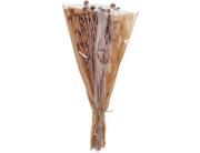 Διακοσμητικά Αποξηραμένα Κλαδιά Άγριες Μαργαρίτες (AMD001110) Σε μπουκέτο, ύψους 55cm, ροζέ απόχρωση