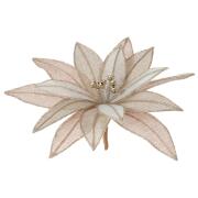 ΑΛΕΞΑΝΔΡΙΝΟ 22ΕΚ ΠΟΝ-ΠΟΝ ΚΛΙΠ