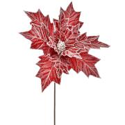 ΑΛΕΞΑΝΔΡΙΝΟ ΚΟΚΚΙΝΟ ΠΑΓΩΜΕΝΟ ΚΛΑΔΙ Φ35  75ΕΚ