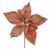 ΚΛΑΔΙ ΣΑΠΙΟ ΜΗΛΟ ΑΛΕΞΑΝΔΡΙΝΟ ΠΙΚ 25ΕΚ