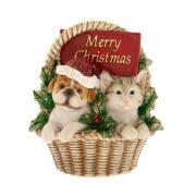 ΠΟΛΥΡΕΖΙΝ ΖΩΑΚΙΑ ΜΕΣΑ ΣΕ ΧΡΙΣΤΟΥΓΕΝΝΙΑΤΙΚΟ ΚΑΛΑΘΙ 10Χ8Χ11ΕΚ