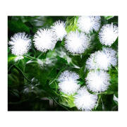 Ηλιακή Γιρλάντα με 20 LED GloBrite VL1988