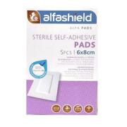 Alfashield Αυτοκόλλητο Αντικολλητικό Επίθεμα 6x8cm 5τμχ