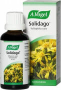 A. Vogel Nephrosolid Solidago Complex Drops Για τη Φυσιολογική Νεφρική Λειτουργία 50ml