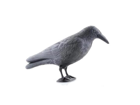 Απωθητικό πτηνών ομοίωμα κοράκι με άγκιστρο σε γκρι χρώμα, 40x20x13 cm, Raven Scarecrow