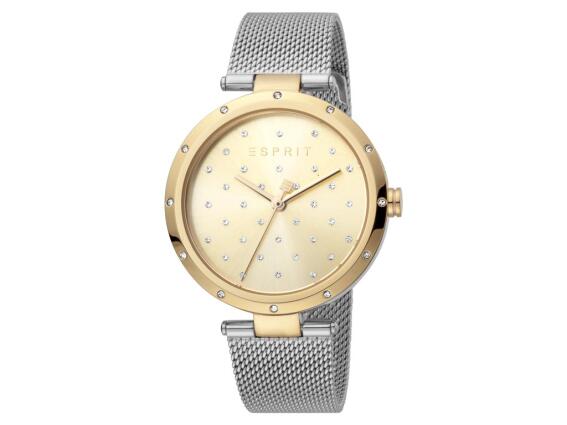 Esprit  Γυναικείο Ρολόι με χρυσό καντράν και μπρασελέ σε ασημί χρώμα, ES1L214M0085