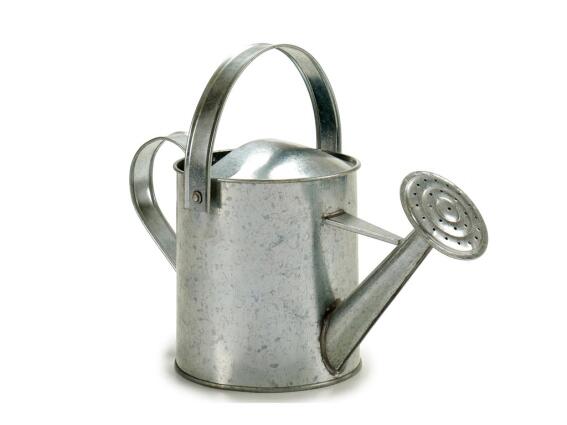Μεταλλικό Ποτιστήρι κήπου 2ltr  με διπλή λαβή σε ασημί χρώμα, 35x17x24.5 cm